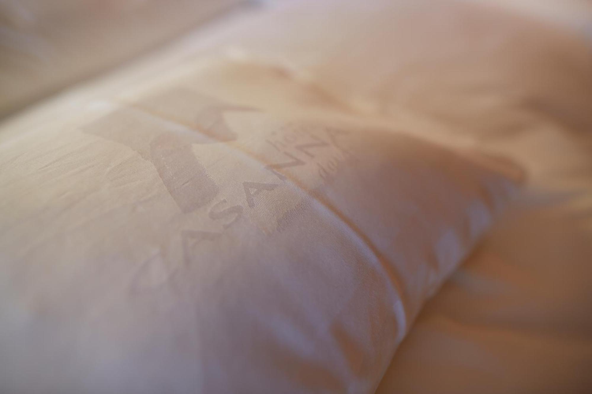 Casanna Hotel Davos City Center Стая снимка